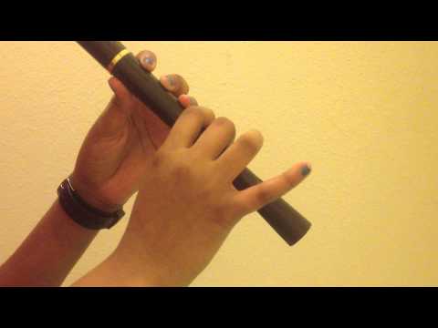 Counting Stars by OneRepublic on Recorder