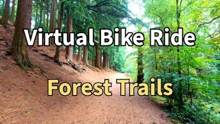 Virtual Bike Ride - Forest Trails - Cycling Scenery For Indoor Training