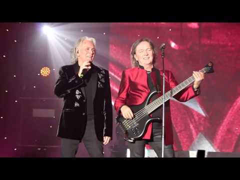 Pooh 50 Reunion - Cercando di te