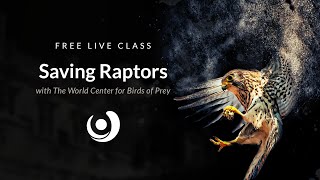 Varsity Tutors' StarCourse - Saving Raptors with the World Center for Birds of Prey