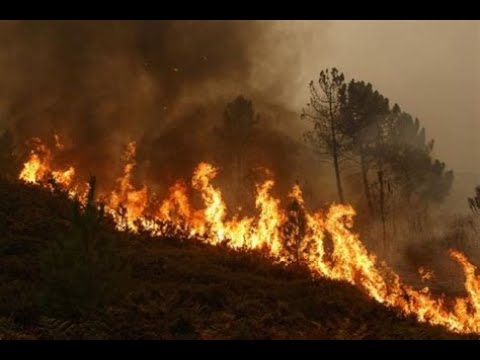 Aftershock Official Trailer 2023