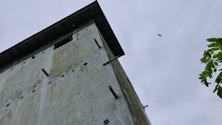 Download lagu Pantau sedotan maghribnya sampai gelap!! mp3 Download lagu Pantau sedotan maghribnya sampai gelap!! mp3