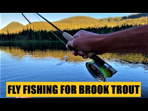 Fly Fishing for Brook Trout in a Mountain Lake on a GSA Motorcycle!  #flyfishing #fishing #GSA1200