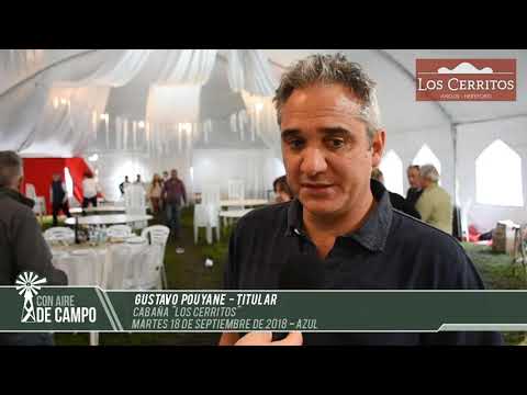 Gustavo Pouyane - Cabaña Los Cerritos - Martes 18 de septiembre de 2018 - Azul