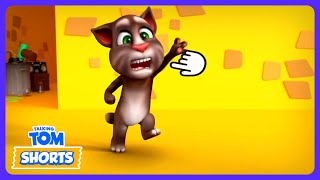 Ataque das Latas Voadoras! 🗑️ - Talking Tom Shorts | Desenhos Infantis | WildBrain Crianças