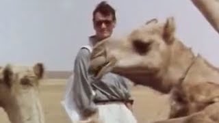 Crossing the Sahara desert by camel - Michael Palin - BBC