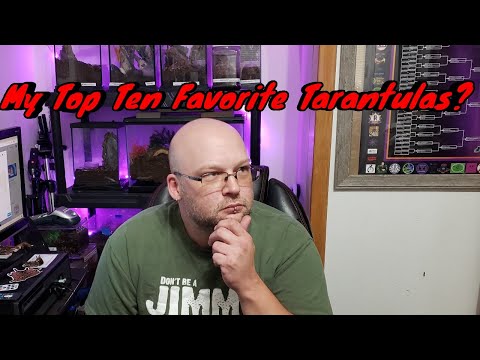 Dave's Top Ten Favorite Tarantulas