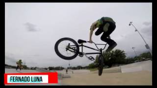 Burnett Bayland Skatepark.