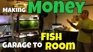 He Turned His Garage into a Fish Room to Make Money Doing What He Loves