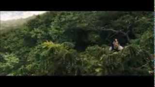 Of Monsters and Men - Silhouettes (The hunger games: catching fire)