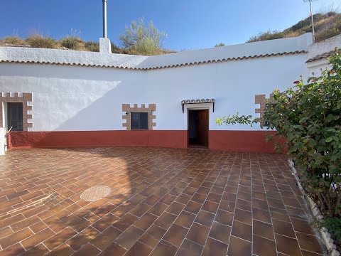 video image