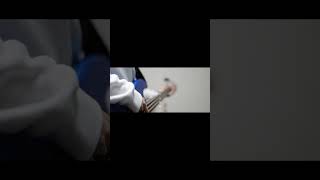 【#盗作】【#ヨルシカ】【#shorts】【#永久機関】  #盗作 #ヨルシカ  プロフよりYouTube fullへ飛べます！ #初音ミク #anime  #hatsunemiku