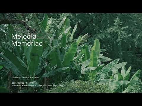 園芸 ミザリー、リオの儚さ