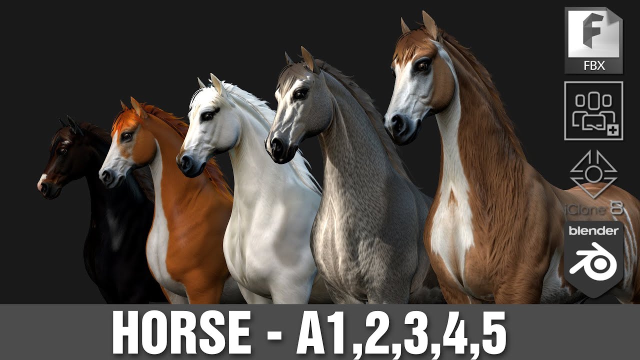 Кінь A4 3D Модель
