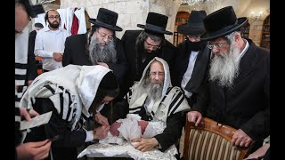 ר' מיילך בידרמן משתתף בברית מילה בצפת