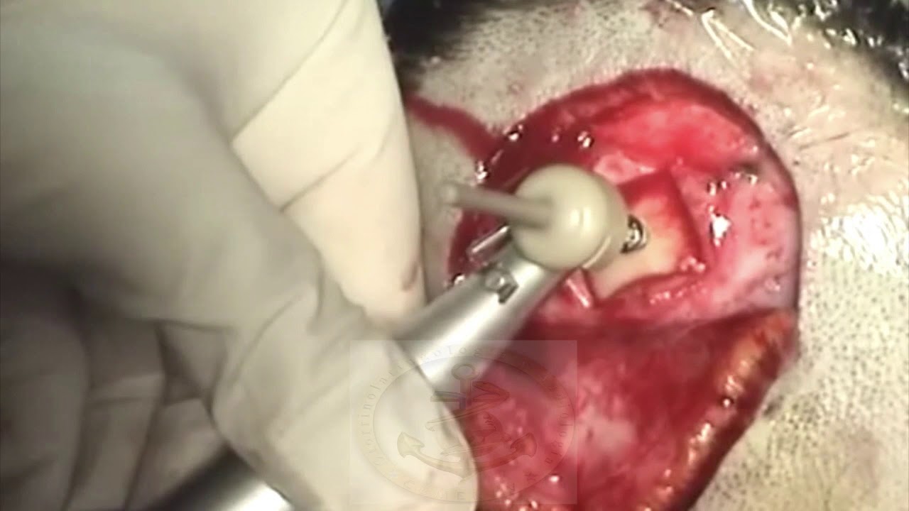 Francisco Javier Mancilla Mejía-2