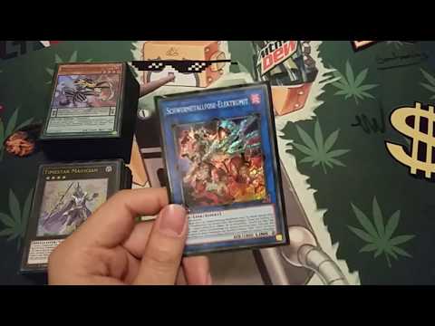 Mein Top 8 GTC Dreieich Deck Profile - (Budget) Pendulum - CollsteYGO