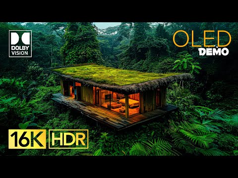 The Quietest 16K HDR Video ULTRA HD 240 FPS - Dolby Vision (4K / 8K TV)