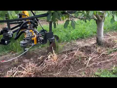 ⚫️🟡 Orizzonti Jolly 🟡⚫️