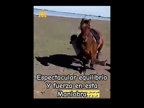 Vuelta a un caballo por la panza a todo galope 😱😱