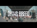 An Origin Story Dying Breed