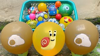 Download lagu Looking for Watermelon Balls, Colorful Balls, Character Balls, Surprise Eggs, Rabbits, Minions, C... mp3 Download lagu Looking for Watermelon Balls, Colorful Balls, Character Balls, Surprise Eggs, Rabbits, Minions, C... mp3