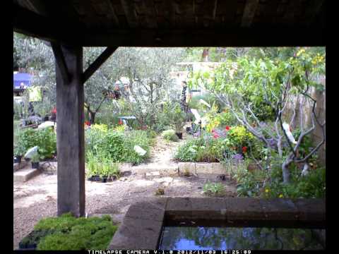 Day 13 The Perfumer's Garden in Grasse. James Scapedesign L'OCCITANE en Provence #RHSCelsea