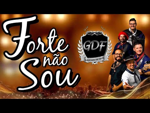 Forte não sou ( Fuerte no Soy - Tradução ) Gaúchos de Fato