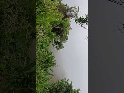 Urumita La Guajira serranía del Perijá