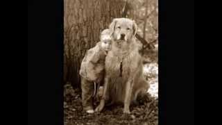 die apokalyptischen Reiter - Liebe