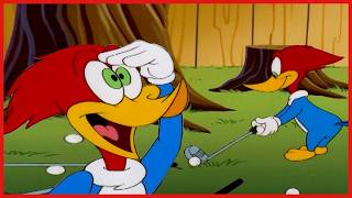 Pica-Pau Adora Golfe! ⛳️ | Pica-Pau em Português