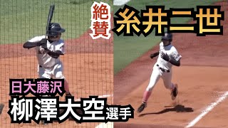 動画を再生