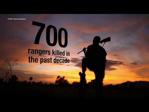 Tracking the trade Episode 3: The Unsung Heroes | WWF-Singapore