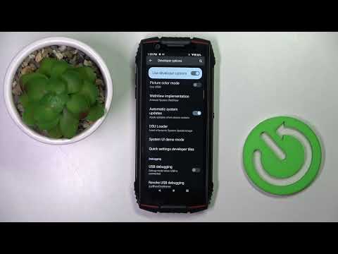 How to Set Automatic System Updates on CUBOT KingKong Mini 3?