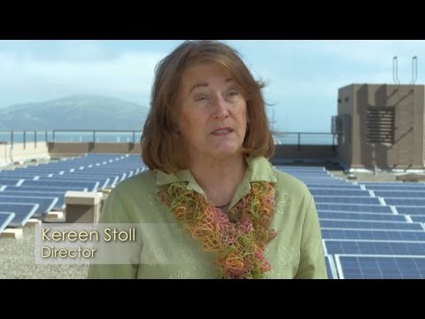 Wharf Plaza Testimonial