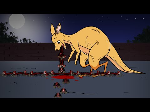 Return of  The King of ZOOZHOSIS - third person screamers