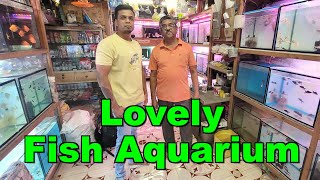 Lovely Fish Aquarium I Oldest Aquarium Store in Dombivli