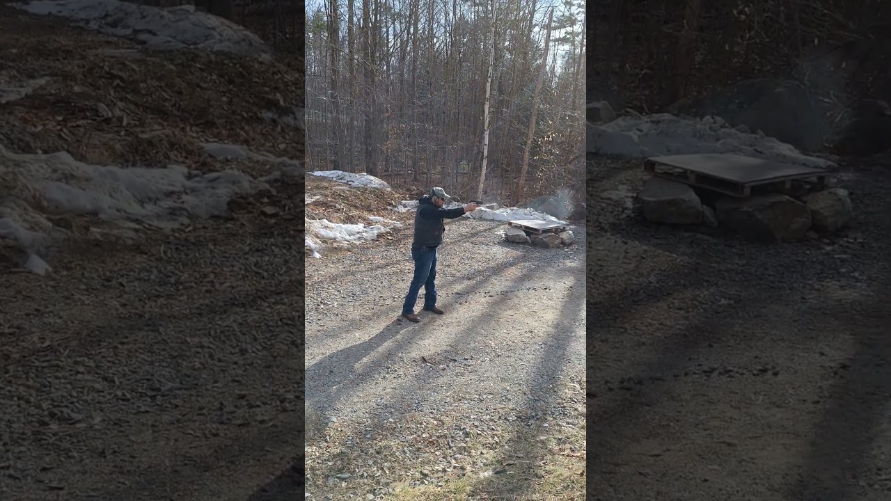 SP2022 - one of the underrated gems of the SIG Sauer line