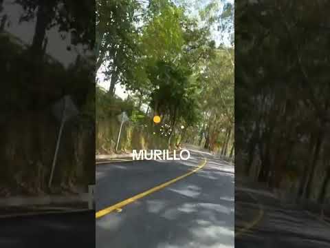 Viajando a Murillo Tolima.