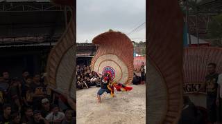 Download lagu Mengerikan sekali atraksi pembarong reog Ponorogo dadak merak terbesar #short #shorts #shortvideo mp3 Download lagu Mengerikan sekali atraksi pembarong reog Ponorogo dadak merak terbesar #short #shorts #shortvideo mp3