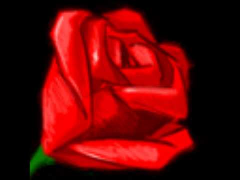 Gosho ot Pochivka - Chukam