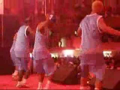 Os OusadOs no SalgueirOo