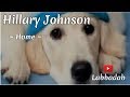 Home ~ Hillary Johnson