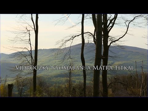 Reviczkyvel az Erdőben - Vidróczky nyomában: A Mátra titkai - 2017 - 10/12