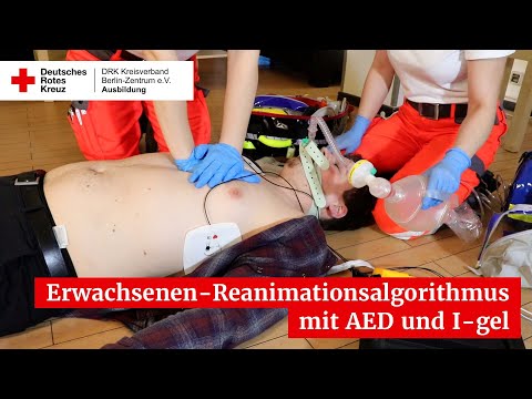 Erwachsenen-Reanimationsalgorithmus mit AED und supraglottischer Atemwegshilfe I-gel