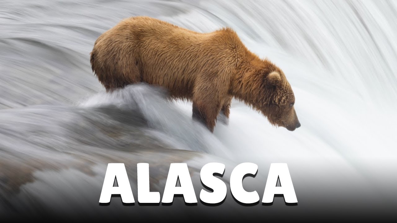 Exploramos o ALASCA no VERÃO e no INVERNO e foi isso que vimos