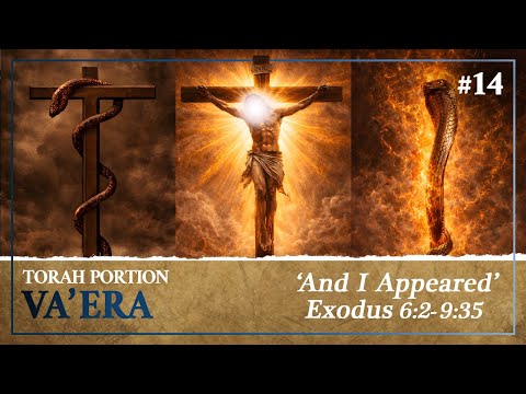 The Paradox of Becoming Death to Defeat Death, Aaron's Rod and the Cross - Torah Portion Va'era