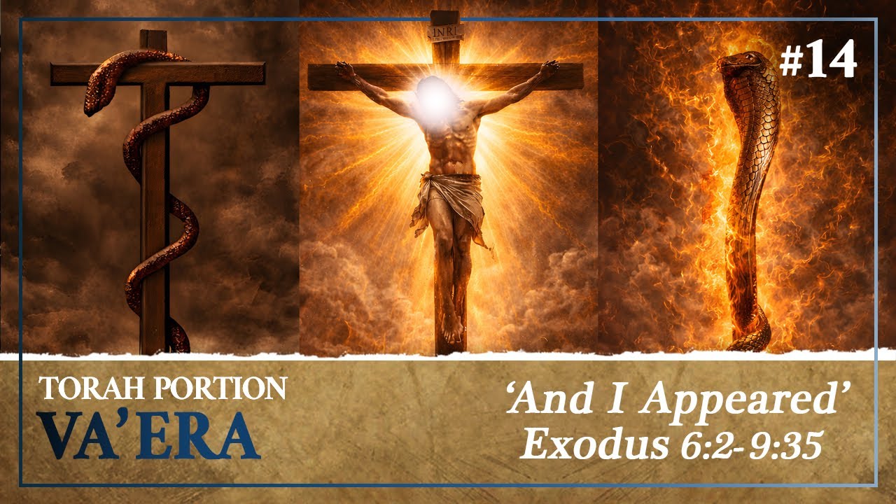 The Paradox of Becoming Death to Defeat Death: Aaron’s Rod and the Cross - Torah Portion Va’era