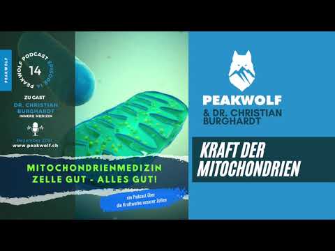 Mitochondrial Medicine | Health begins in the cell 👉🎙Episode 14 with Dr. Christian Burghardt