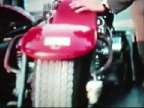 `FORBIDDEN PARADISE 8.5 mystic swamp